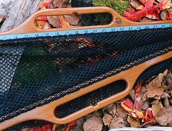 Salmon/Steelhead Cradle Net