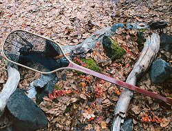 Long Handled Wooden Fishing Nets, Guide Series from Rushton